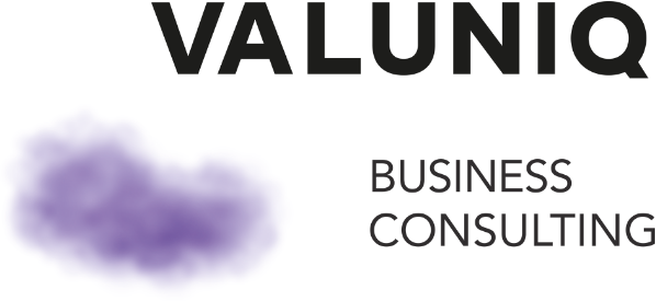 Lennard-paul-naumann-valuniq-business-consulting-logo
