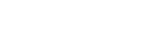 100+holding-gruendlungen