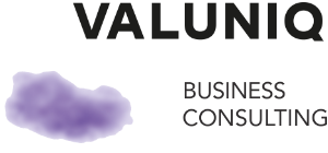 Valuniq-business-consulting
